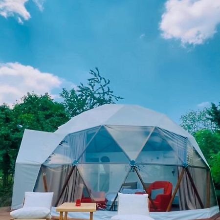 Phalesia Glamping Otel Sapanca Kültér fotó