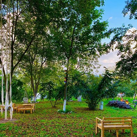 Phalesia Glamping Otel Sapanca Kültér fotó