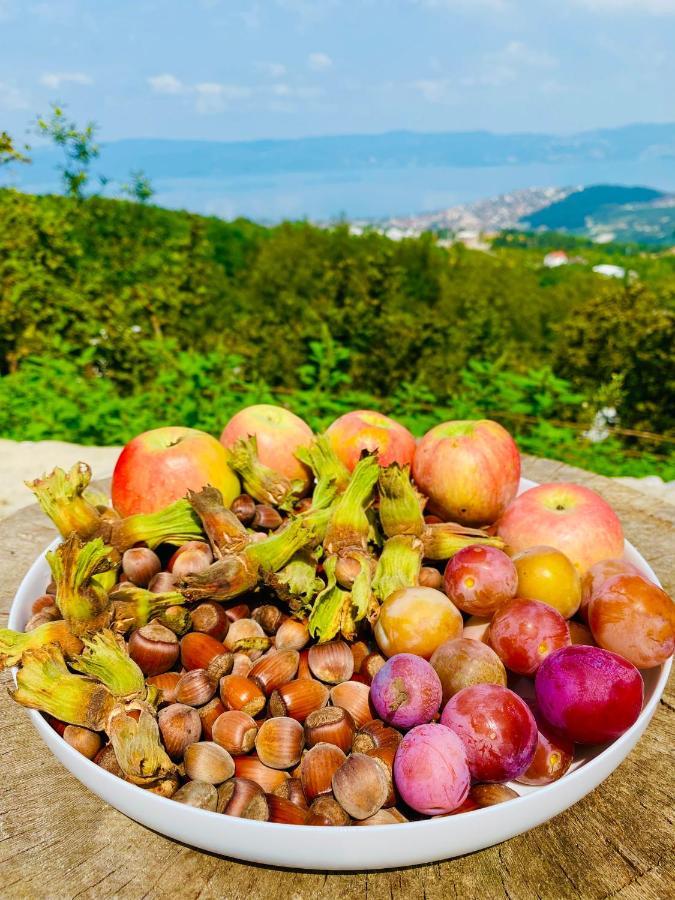 Phalesia Glamping Otel Sapanca Kültér fotó