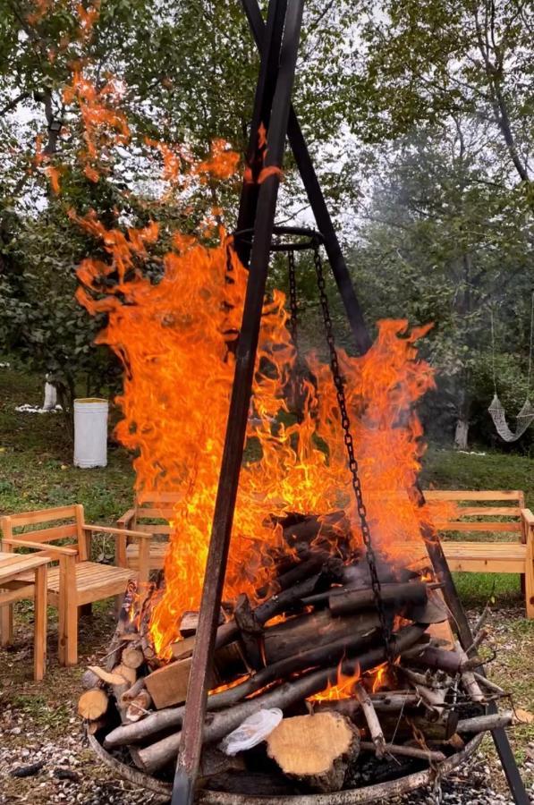 Phalesia Glamping Otel Sapanca Kültér fotó