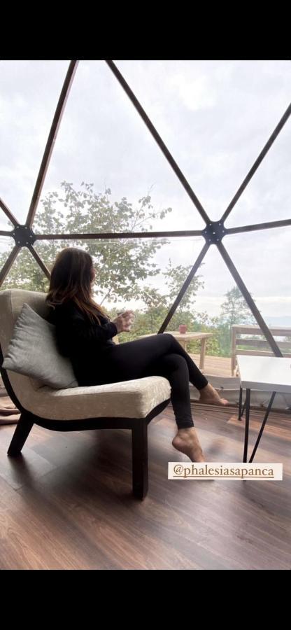 Phalesia Glamping Otel Sapanca Kültér fotó