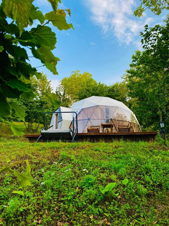 Phalesia Glamping Otel Sapanca Kültér fotó