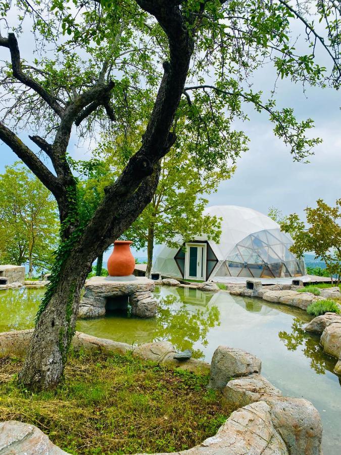Phalesia Glamping Otel Sapanca Kültér fotó
