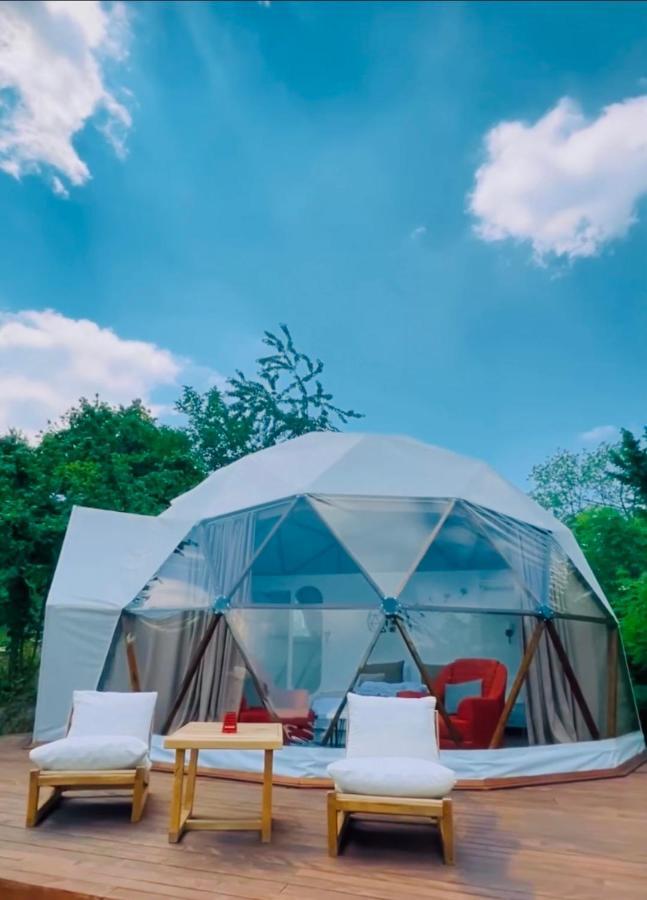 Phalesia Glamping Otel Sapanca Kültér fotó