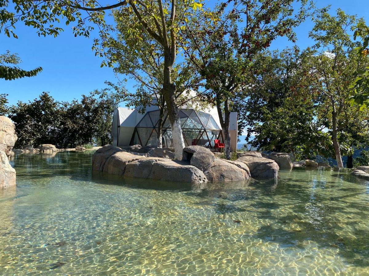 Phalesia Glamping Otel Sapanca Kültér fotó