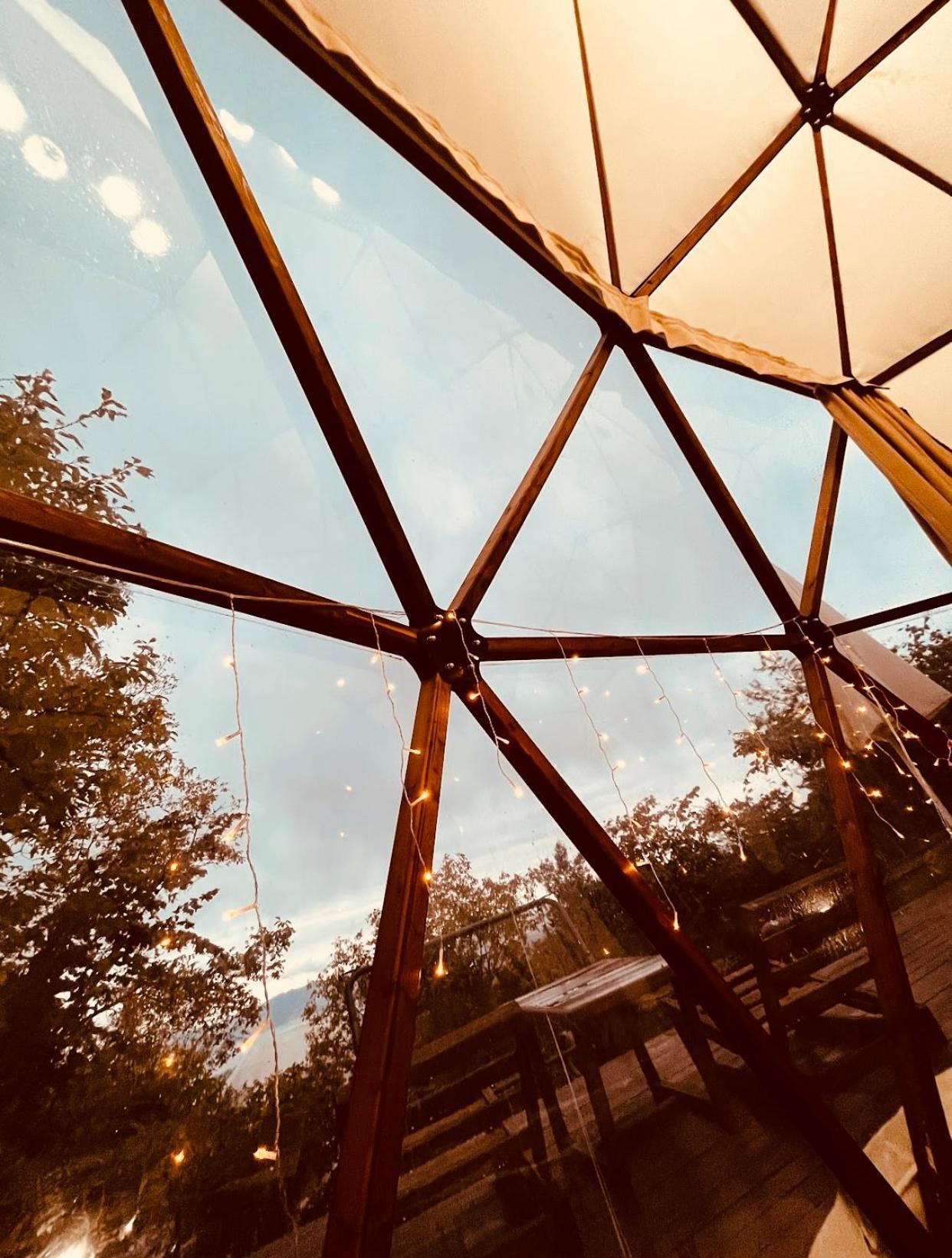 Phalesia Glamping Otel Sapanca Kültér fotó
