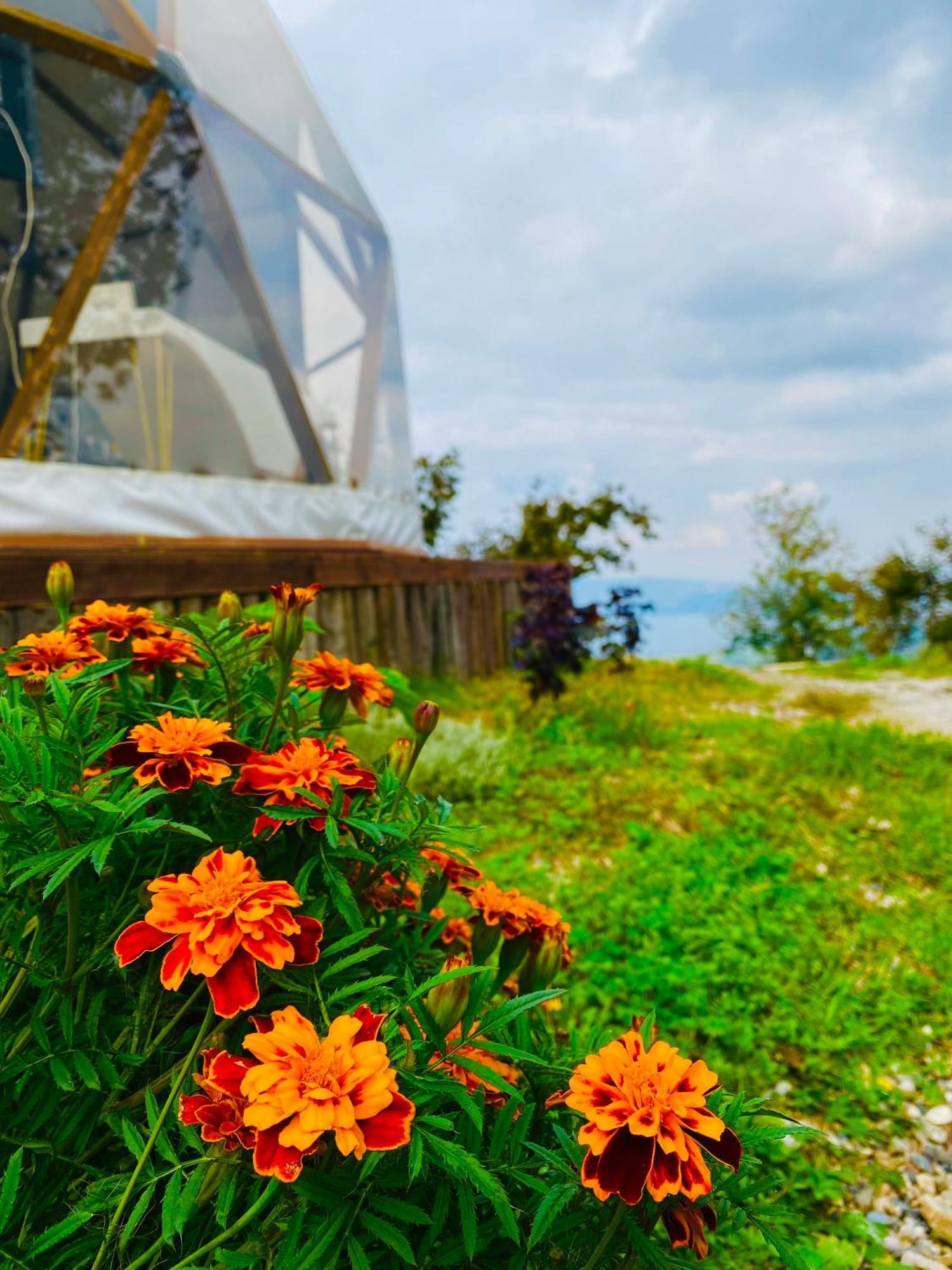 Phalesia Glamping Otel Sapanca Kültér fotó