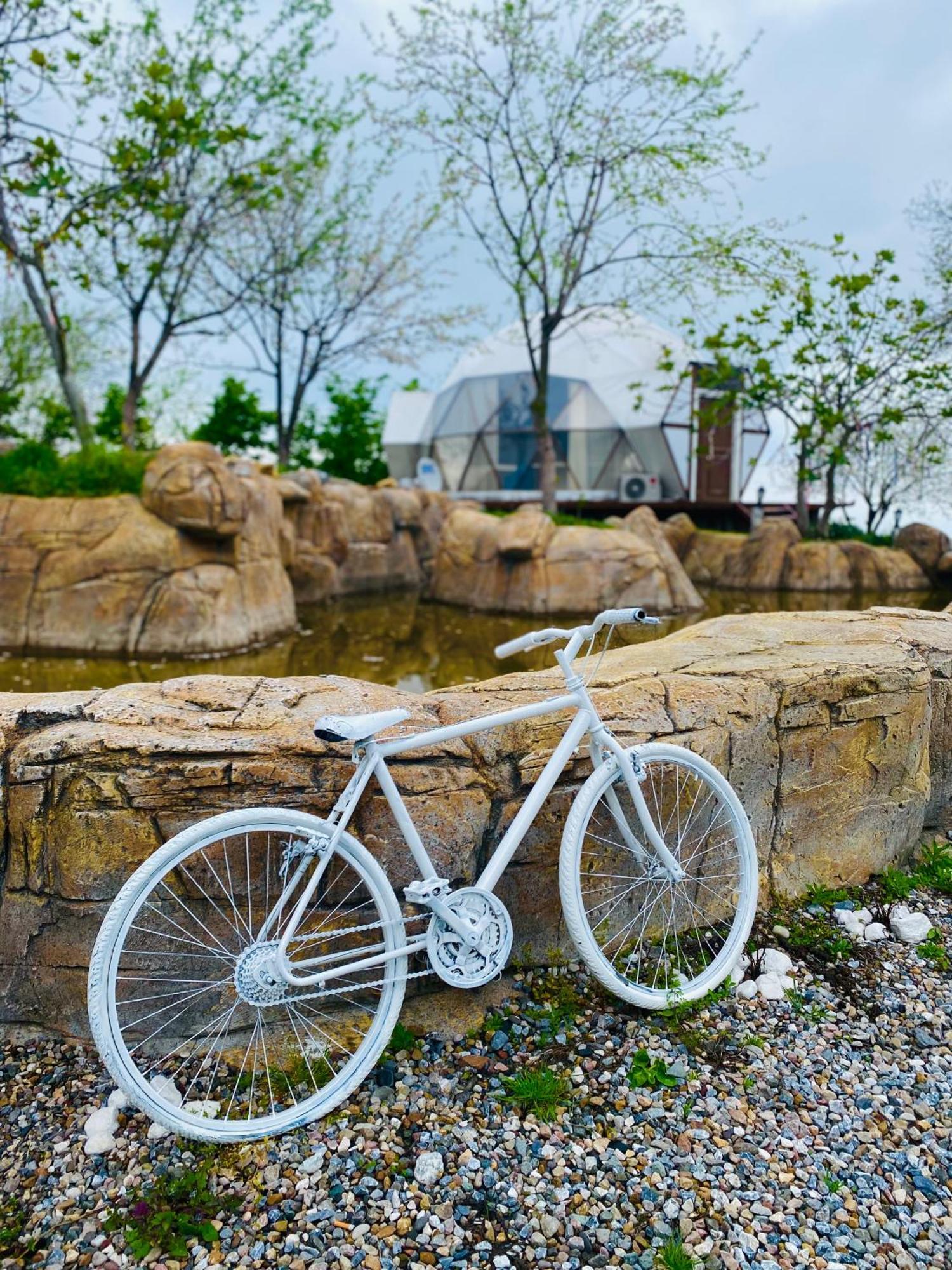 Phalesia Glamping Otel Sapanca Kültér fotó